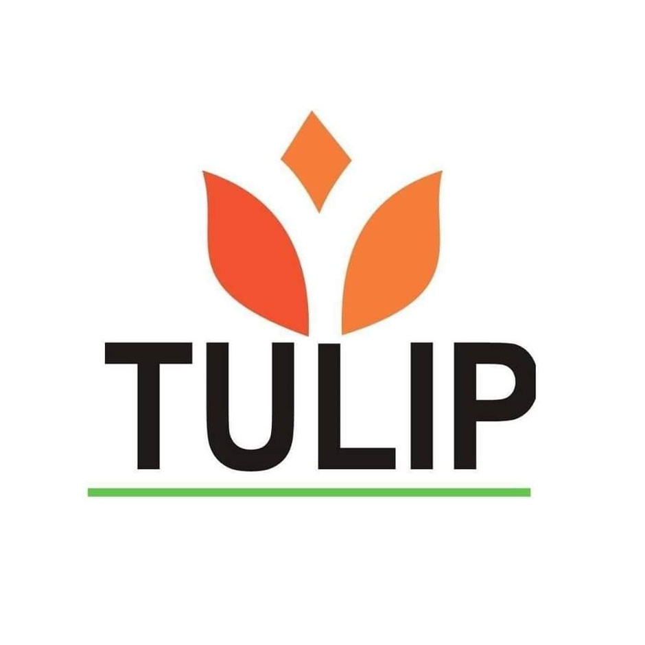Tulip